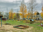 priroda_05