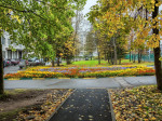 priroda_06