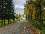 priroda_10