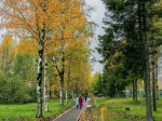priroda_11