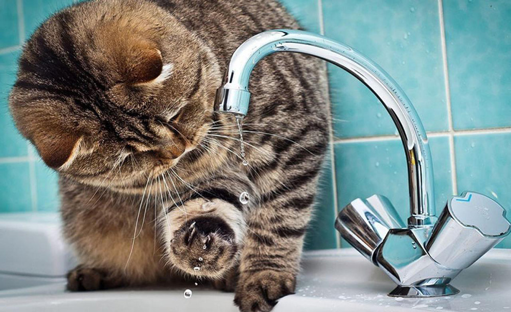 Отключение горячей воды