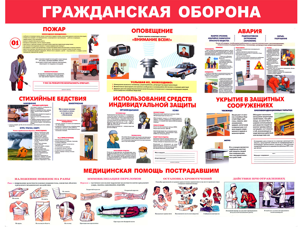 Открытые уроки в Тихвинских школах