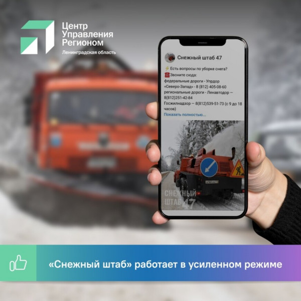 Снежный штаб в Тихвине